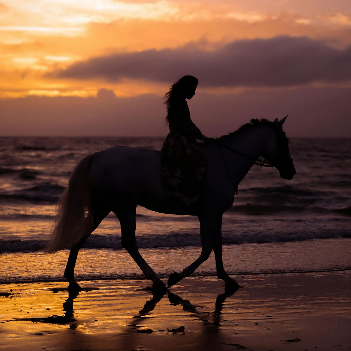 Woman riding a horse along the ocean during sunset — cinematic and graceful.